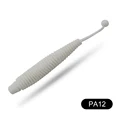 PA12
