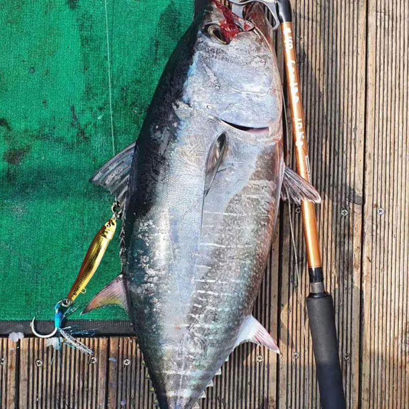 Señuelo de Pesca de Metal en forma de S, anzuelo de cuchara fundido a tierra, hundimiento, duro, Jigging, 60g, 100g, 150g, 180g, 220g