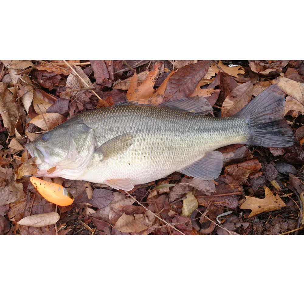 JOHNCOO-señuelo de pesca Artificial Crankbait, Wobblers de 17,5g y 7cm, señuelo flotante con gancho VMC - imagen 4