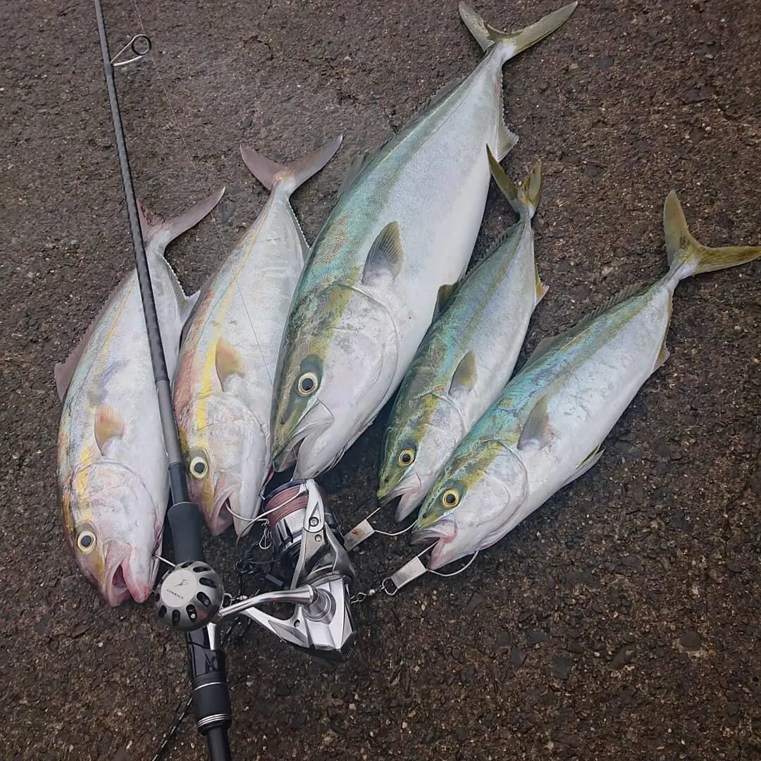 Gomexus Pomo Carrete 45mm para Shimano Stella SW Saragosa SW Twin Power SW Perilla Carretes de Spinning Tipo B - imagen 5