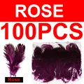 100pcs rose