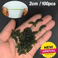 2cm 100PCS  D  float