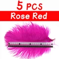 5pcs Rose Red