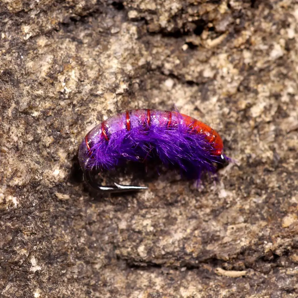 WIFREO Cezch Ninfa Scud Bug, cebo de pesca con mosca de gusano, trucha con gancho de púas, carpa, Mosca, trucha, camarón - imagen 5