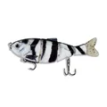 Color 7 Swimbait