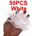 White 50PCS