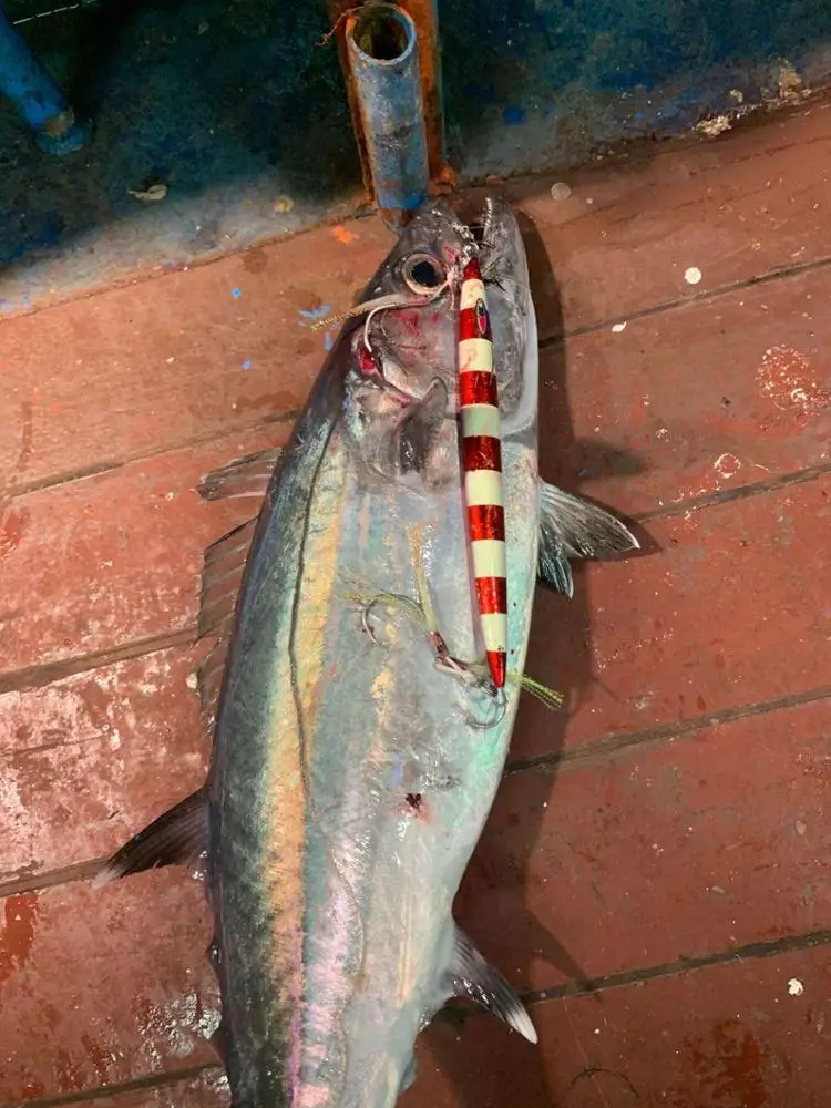 OBSESSION J28 120g 150g 200g 250g 300g cebo de pesca Jigging de agua salada de hundimiento rápido Isca velocidad caída Jig cebos plantilla de Metal señuelo - imagen 5