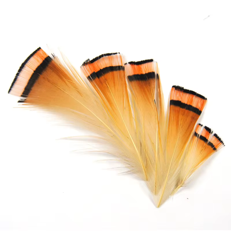 Cresta de cabeza de faisán dorado de Color Natural, pluma para atar moscas, Coachman, Material de Tailling, marca Wifreo, 50 Uds. - imagen 3