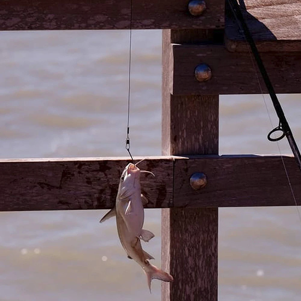 Anzuelo de pesca de caña larga, aparejo de cebo de gusano suave, ganchos de púas de agua salada, de acero de alto carbono, Offset, 100/150 piezas - imagen 5