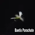 Baetis  Size14