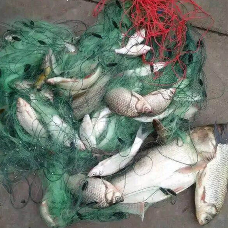 Red de pesca de 3 capas de alta calidad, trampa flotante para peces de río, estilo finés, 100 metros de largo y 3 metros de altura - imagen 3