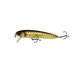 BassLegend Minnow Jerkbait 105mm flotante para Bass y Pike