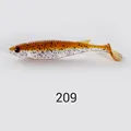 NW209