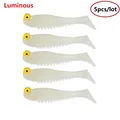 Luminous 5pcs