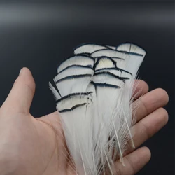 Plumas faisán Amherst 3 estilos para atar moscas