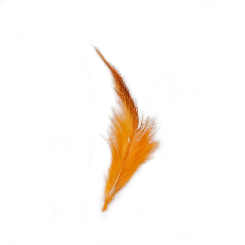 50 unids/pack atado de moscas silla de gallo plumas para piernas de insectos alas 10 colores opcionales plumas de gallo Schlappen moscas Streamer