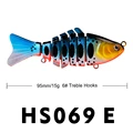 HS069E
