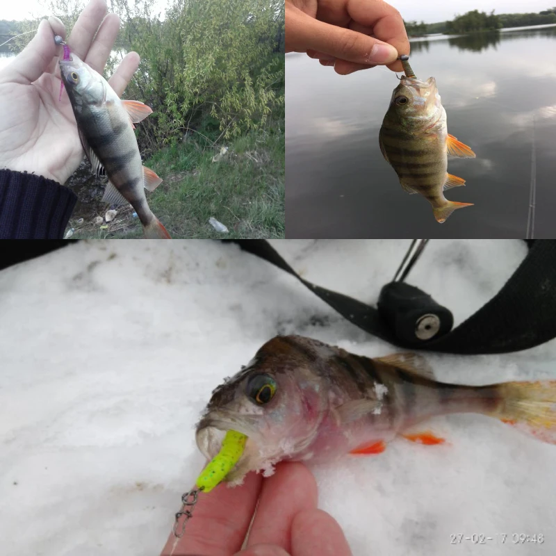 ESFISHING-verme blando de silicona Artificial Polaris, cebos de 42mm para Pesca en hielo, señuelos de silicona perfumados, aparejos de Pesca para Pesca de Lucio - imagen 5