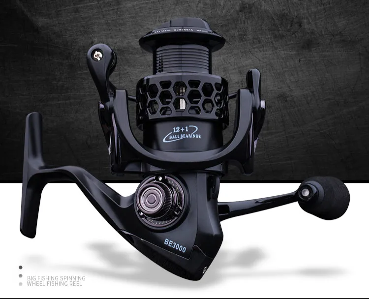Experimente una pesca sin costuras con el BE3000 diseñado para una pesca a pequeña escala de 12+12