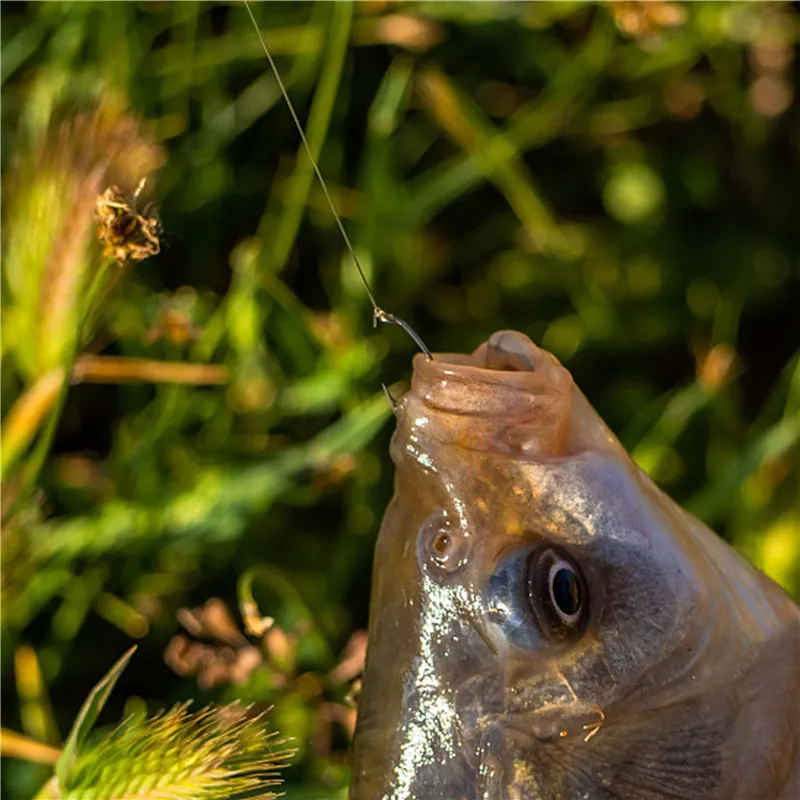Anzuelos de pesca de carpa de acero con alto contenido de carbono, gancho de púas, vástago curvo, aparejos de carpa, aparejos de pelo, tamaño 2 #4 #6 #8 #10 #, 1000 Uds. - imagen 5