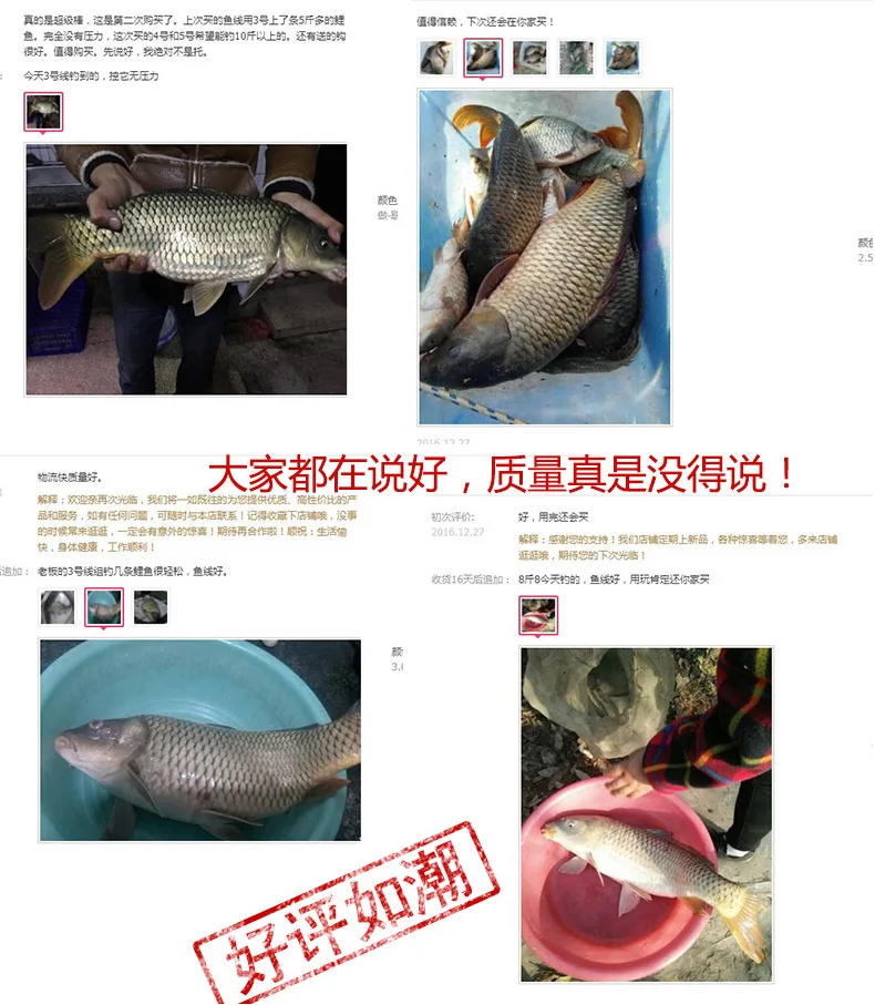 Experimente la emoción de la pesca con nuestra selección premium de peces de alta calidad