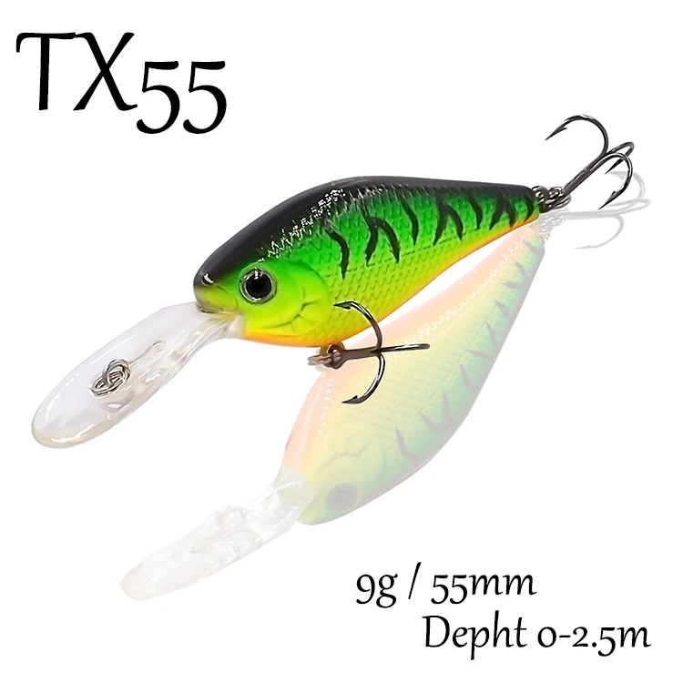 TX55