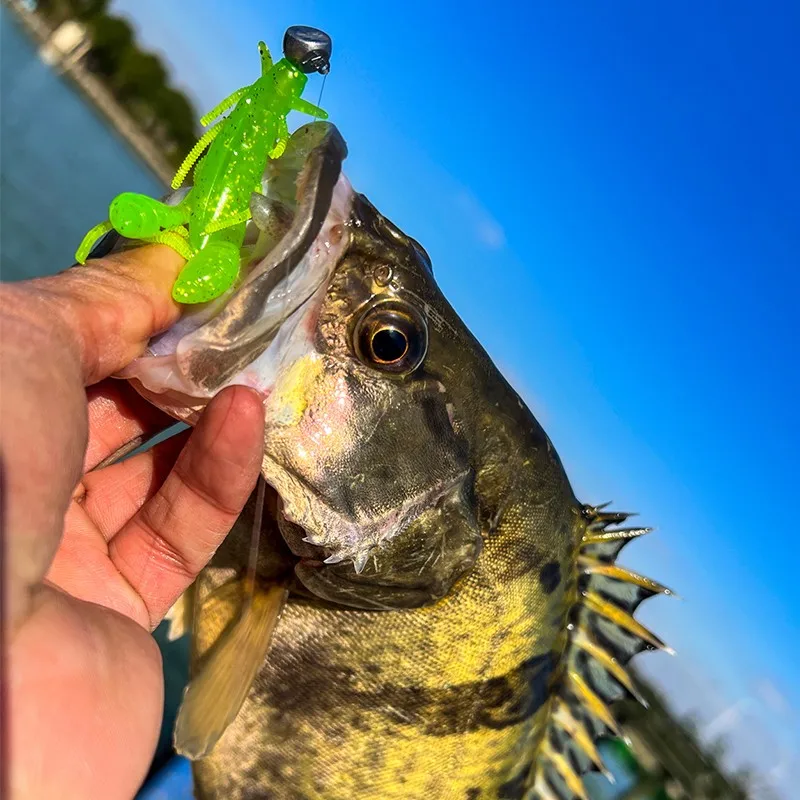 Señuelo de pesca de silicona Artificial, cebo blando de 7 piezas, 75mm/4g, Wobbler, para lubina - imagen 5