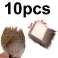 10PCS