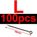 L100