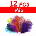 12pcs Mix