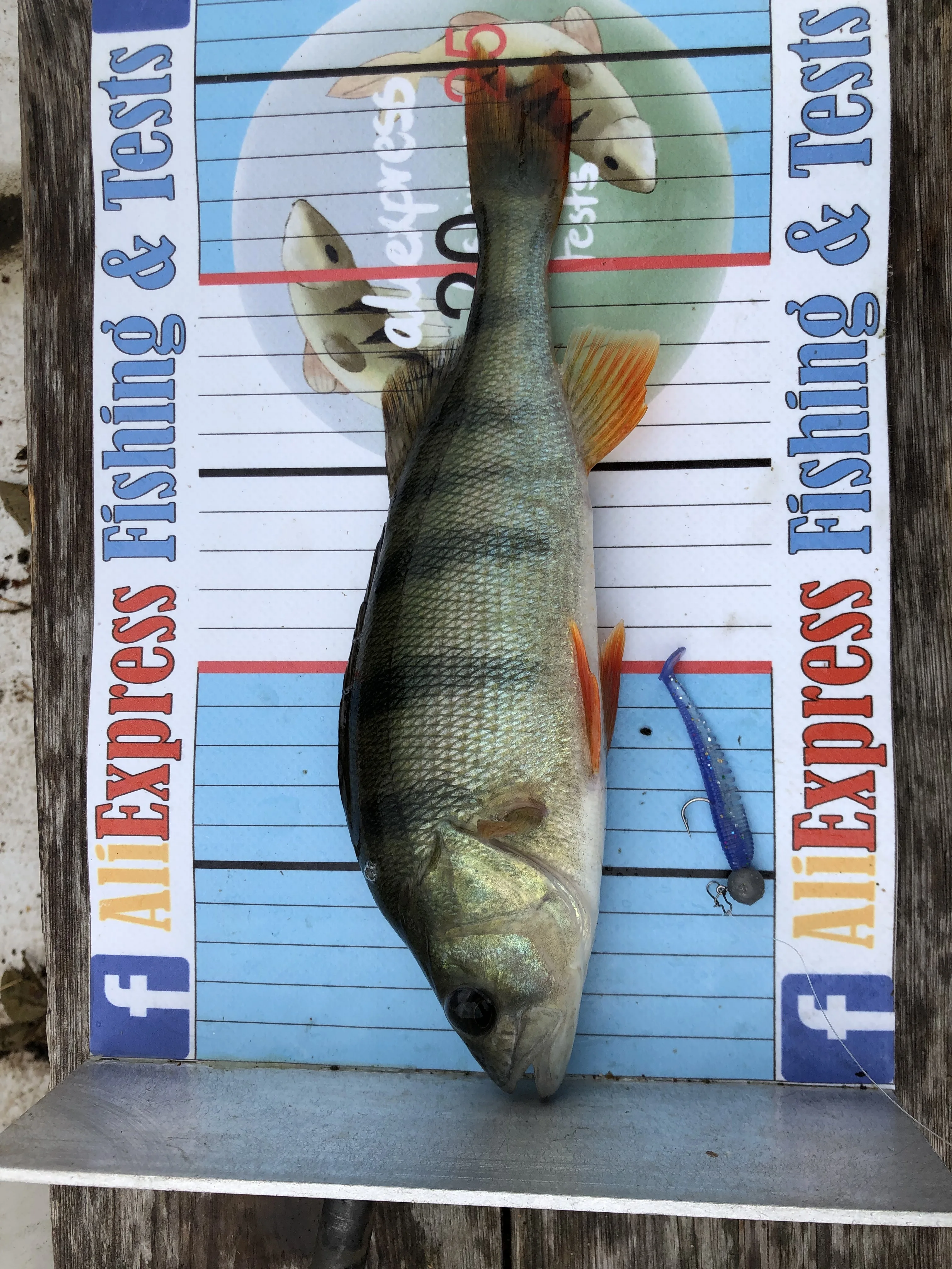 SupercontinentNEW Señuelos de Pesca 5cm 8cm 9,5 cm 11cm cebos artificiales Wobblers señuelos blandos sábalo carpa cebos de pesca de silicona - imagen 5