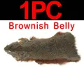 1PC Brown Belly