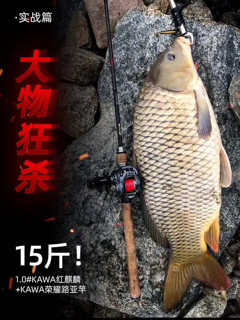 ¡Experimenta la emoción de la pesca con nuestro equipo de alta calidad!