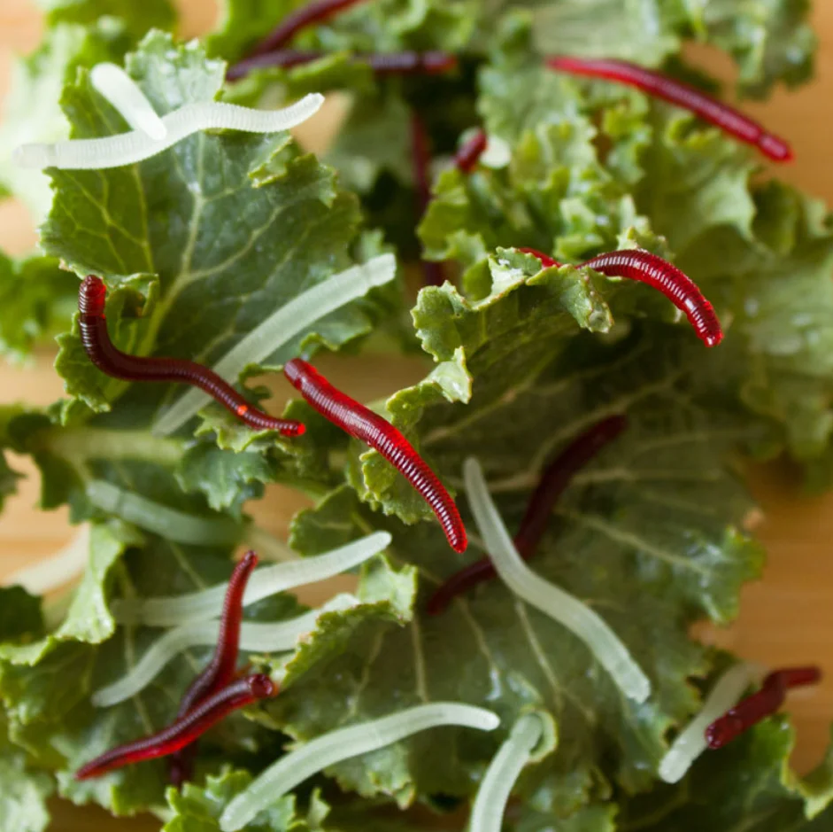 Cebo de pesca suave luminoso de 35mm, gusano de arena, pan, gusano de silicona, cebos artificiales, gusano, señuelo de pez, gusanos, 200 unids/caja - imagen 5