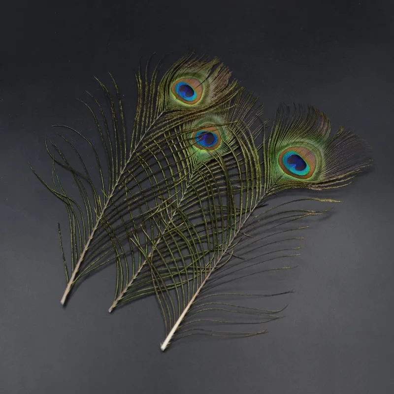 Plumas de pavo real surtidas para ninfas y secas, colas de pavo real completas, Mosca de nieve, belleza, atado de moscas, 8 colores, 16 piezas - imagen 3