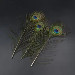 Plumas de Pavo Real para Ninfas y Moscas Secas - 8 Colores