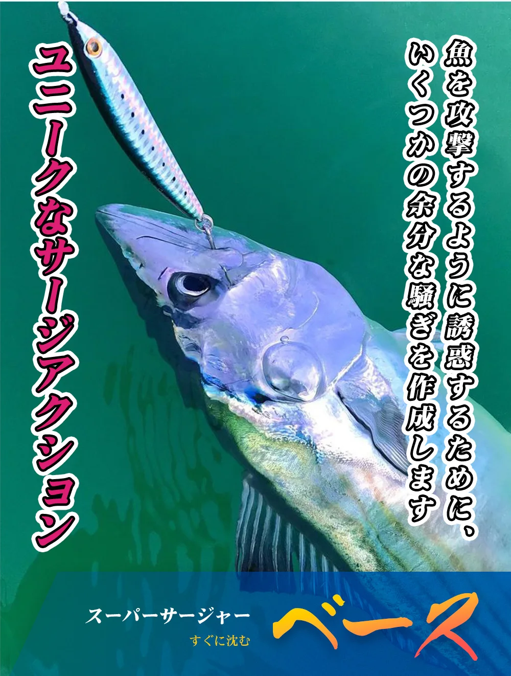 ¡Experimenta la emoción de la pesca con nuestro equipo premium!