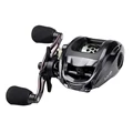 Baitcasting Reel