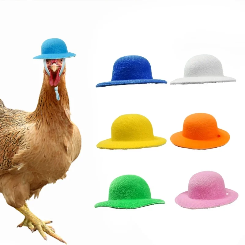 Sombrero de pollo para gallinas, mascotas pequeñas, accesorios divertidos para pollo, sombrero de copa para gallina, gallo, pato, loro, hámster, aves de corral, disfraz de espectáculo elegante - imagen 2