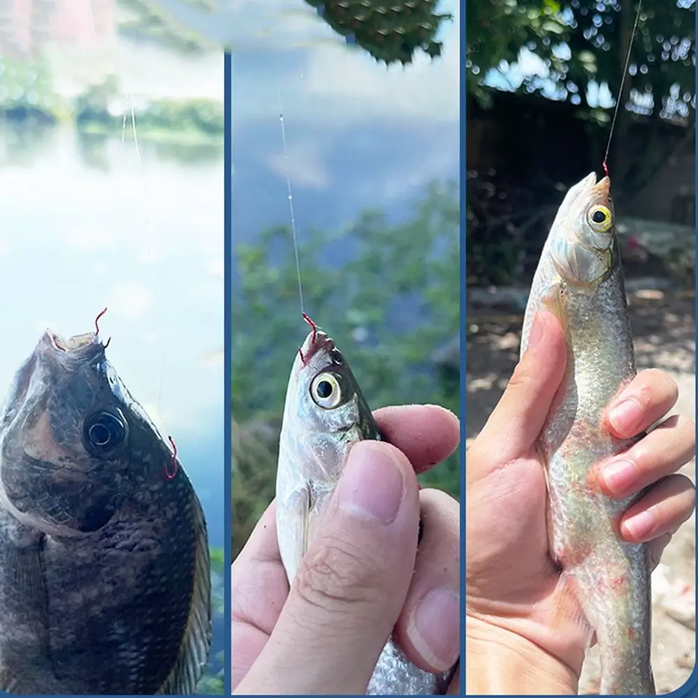 Experimente la emoción de la pesca con nuestros señuelos de alta calidad