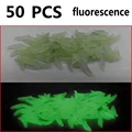 50 pcs fluorescence