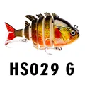 HS029-G