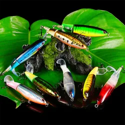 Hard Bait Obsession 11cm – Vibratorio sinking mar