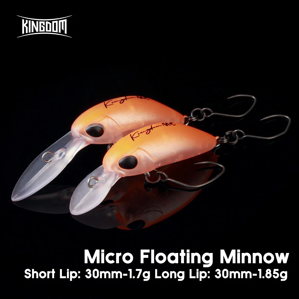 Kingdom Micro Expert – Señuelo crankbait para lubina y trucha