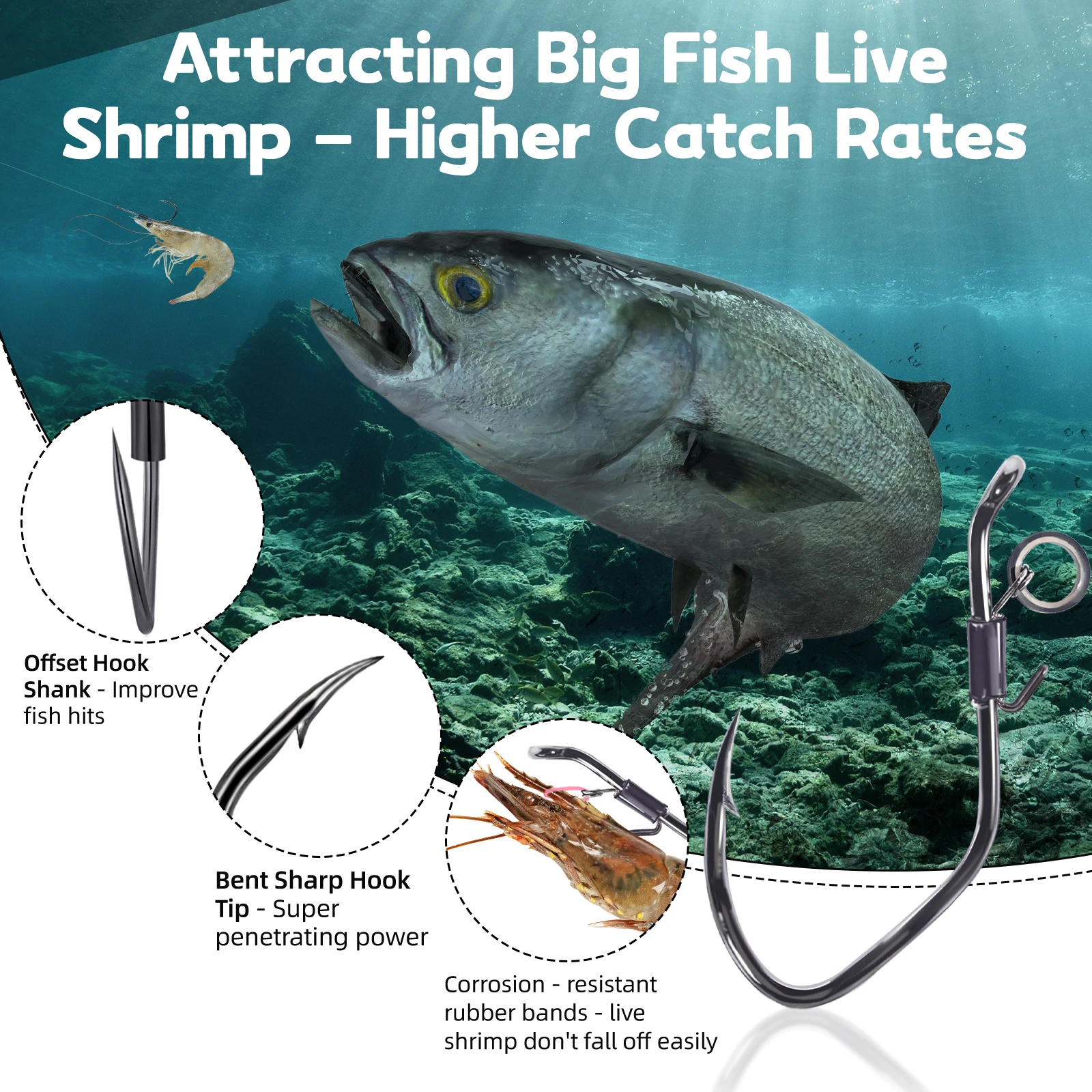 Anzuelos de pesca FishTrip, 10-15 Uds., anzuelo para bagre, anzuelos para camarones vivos, señuelo, anzuelo magnético, anzuelos circulares, anzuelos para lubina de agua salada - imagen 4