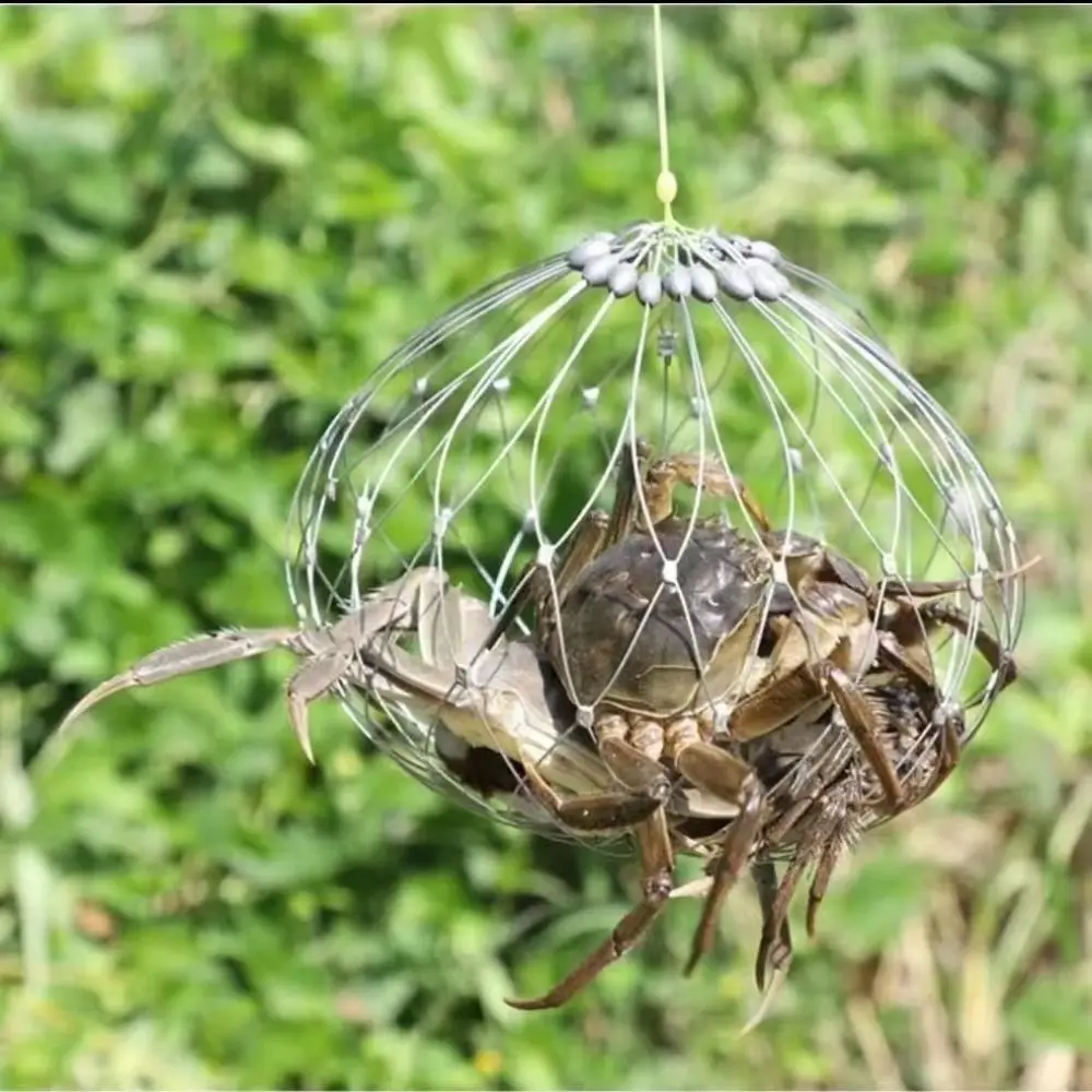 Red de trampa de cangrejo de pesca de diseño plegable automático, jaula de red de alambre de acero de cierre abierto automático, amplia cobertura, duradera - imagen 3