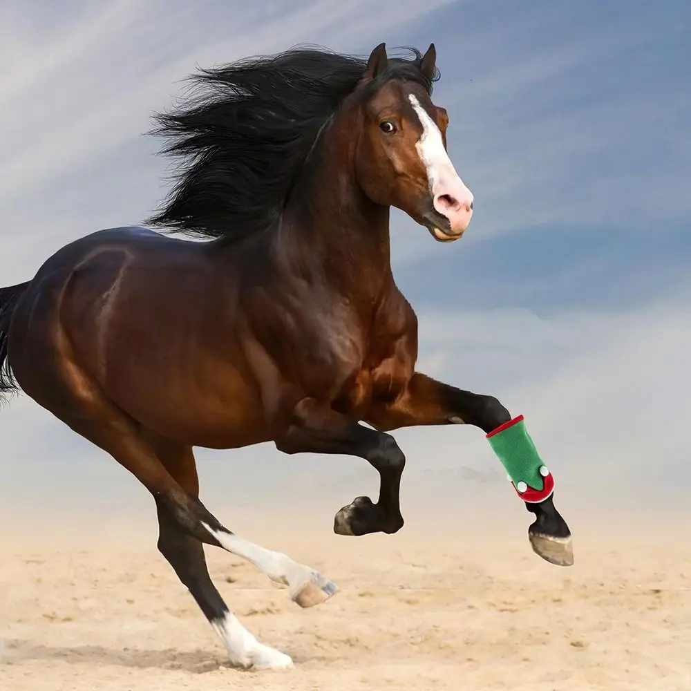 Diseño navideño, conjunto de vestido de caballo, tema de fiesta, decoración navideña, sombrero de Navidad de caballo, equipo ecuestre estilo Santa - imagen 3