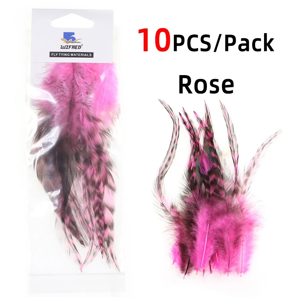 1pack rose