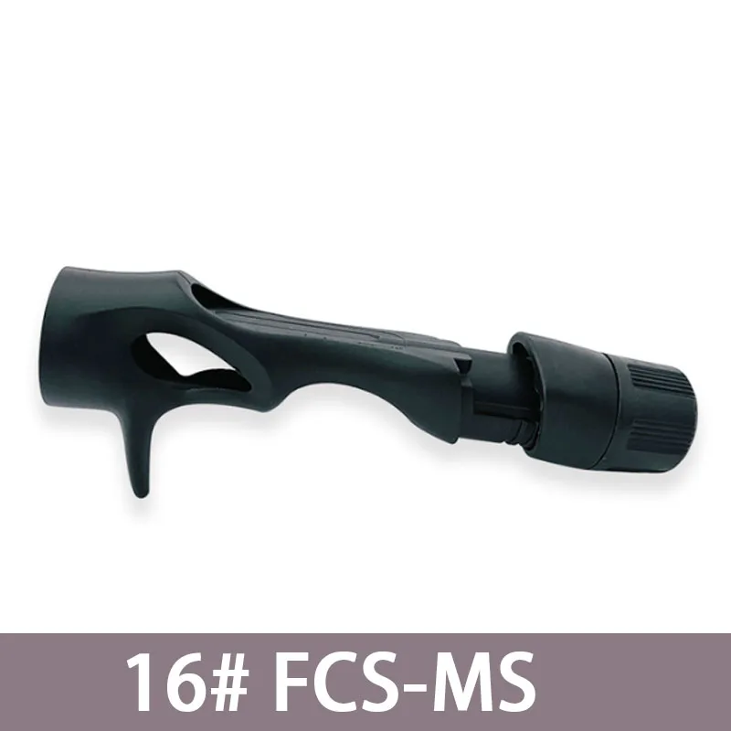 FCS-MS