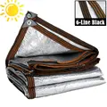 6-line Black edge